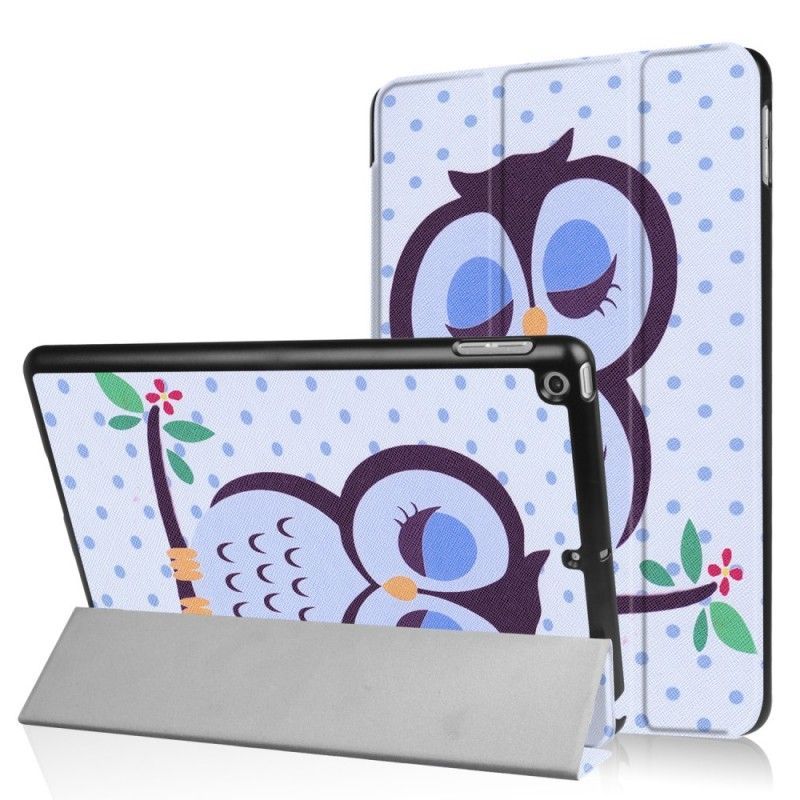 Chytré Pouzdro Ipad 9.7 2017 Spící Sova