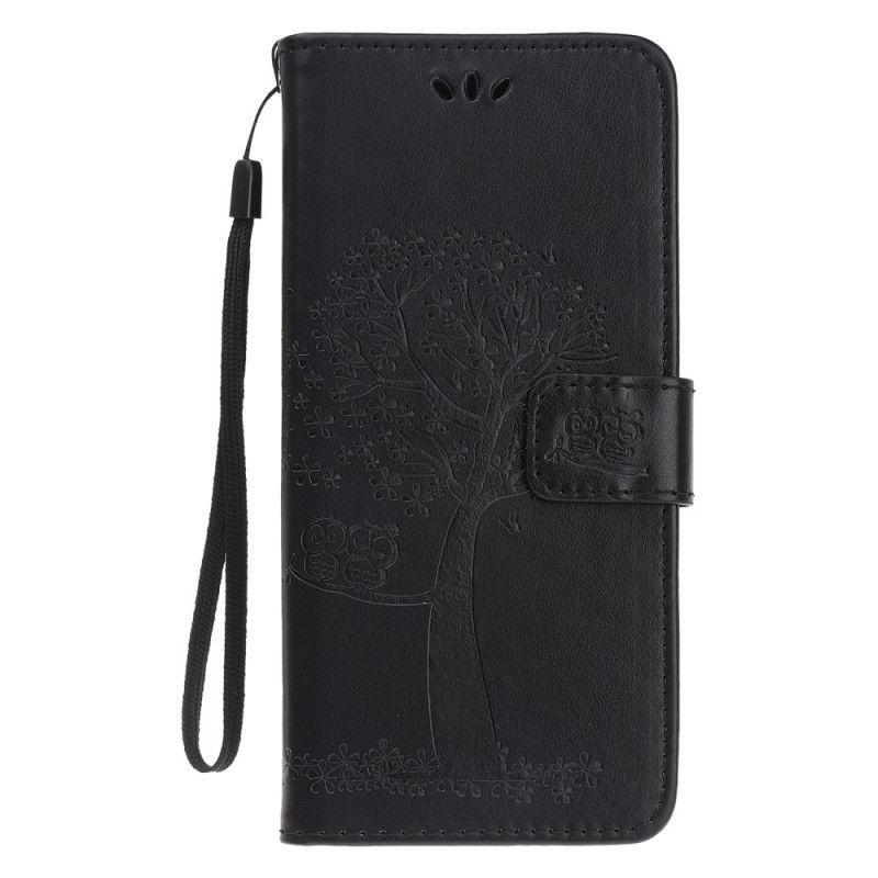 Flipové Pouzdro Iphone 11 Pro Strom A Pásové Sovy