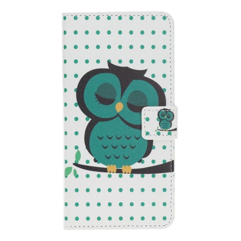 Kryt Huawei Y5 2019 / Flipové Pouzdro Honor 8s Spící Sova