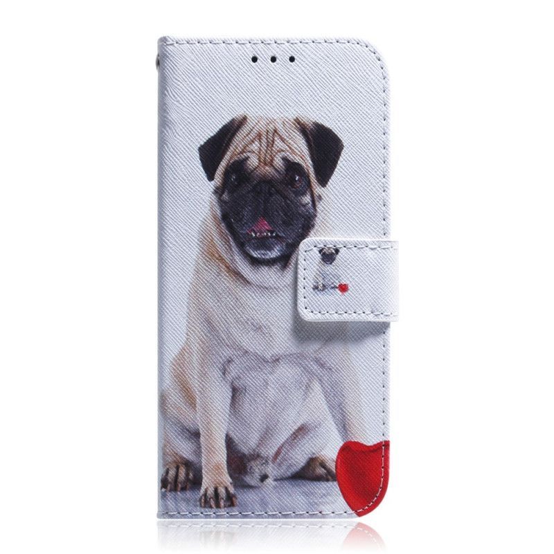 Flipové Pouzdro Huawei P Smart Pro / Čest 9x Profesionálního Mopsího Psa