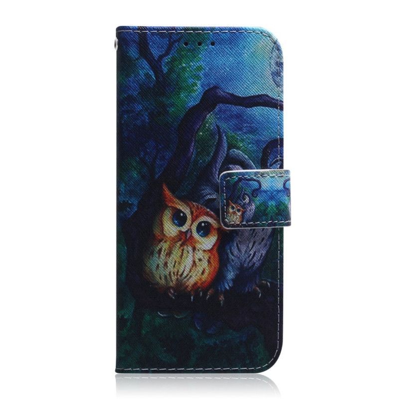Flipové Pouzdro Huawei P Smart Pro / Čest 9x Profi Malování Sov