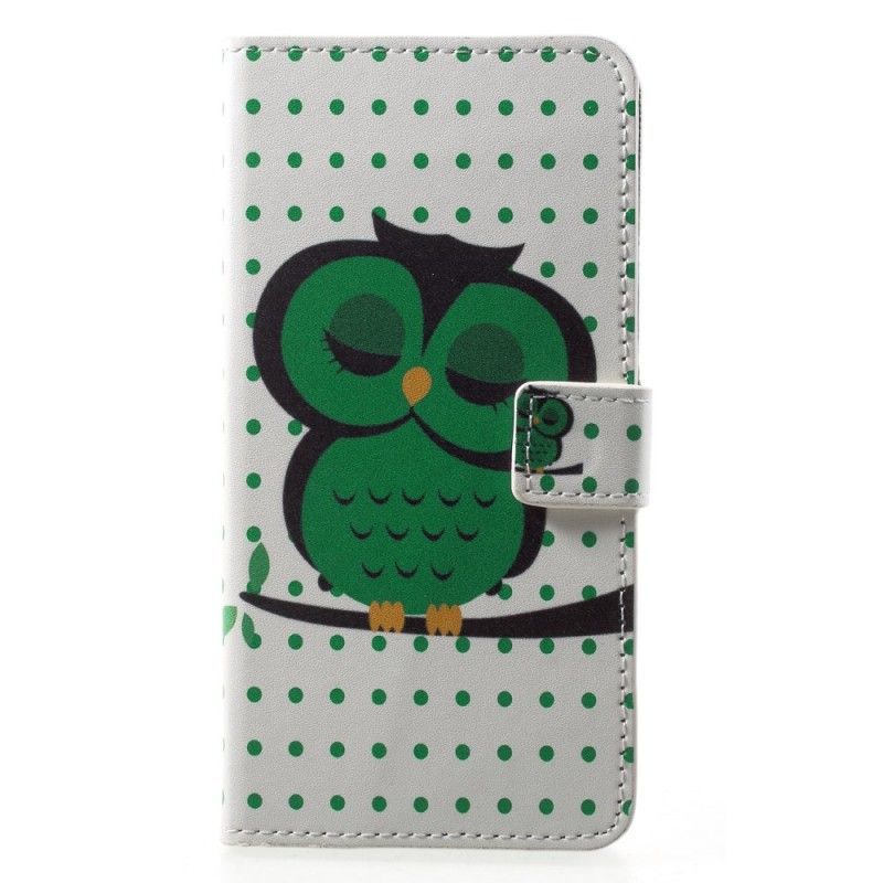 Flipové Pouzdro Huawei P20 Pro Spící Sova
