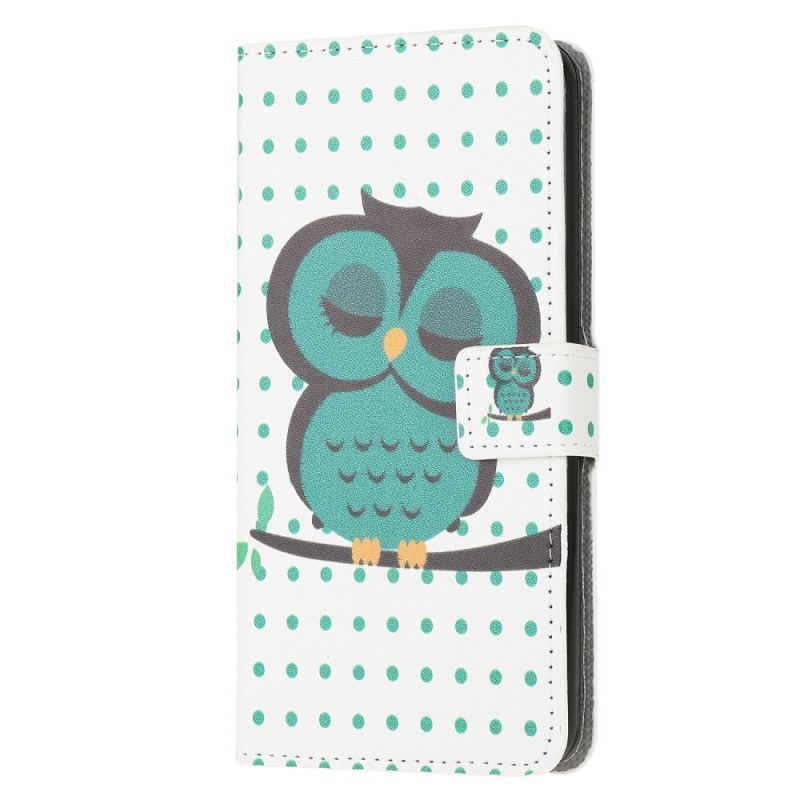 Kožené Pouzdro Huawei P40 Lite Spící Sova