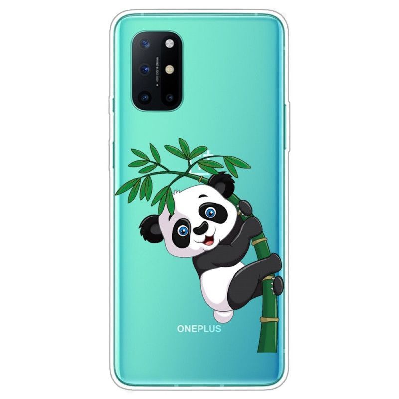 Kryt Na Oneplus 8t Průhledná Panda Na Bambusu