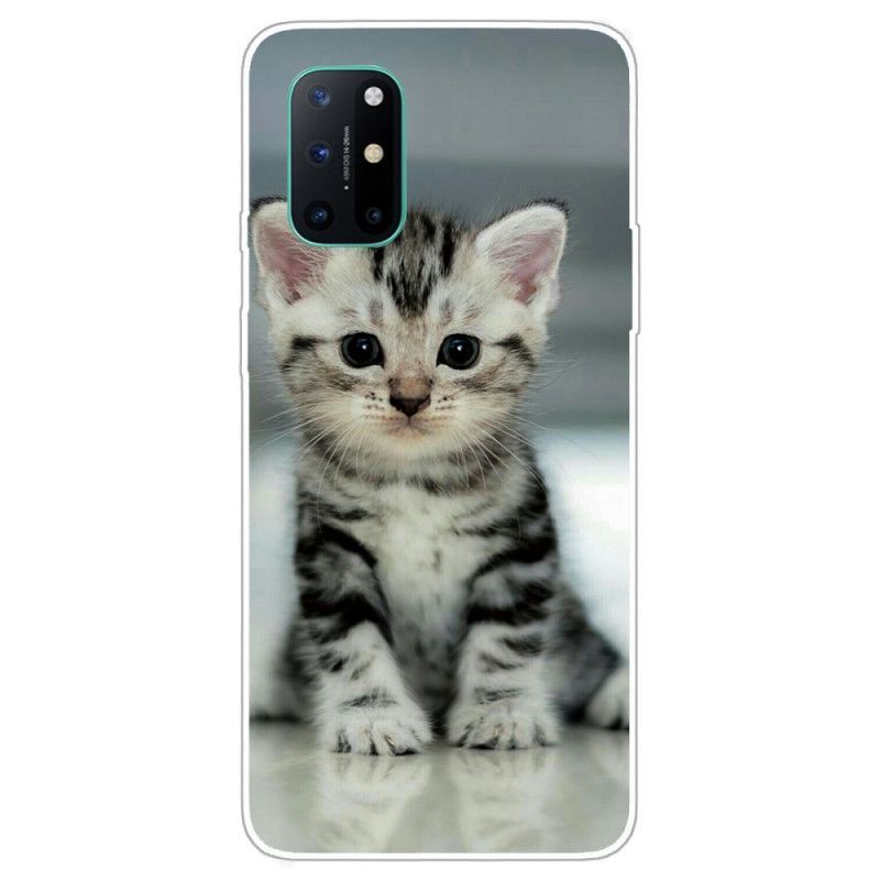 Kryt Oneplus 8t Kotě Kotě