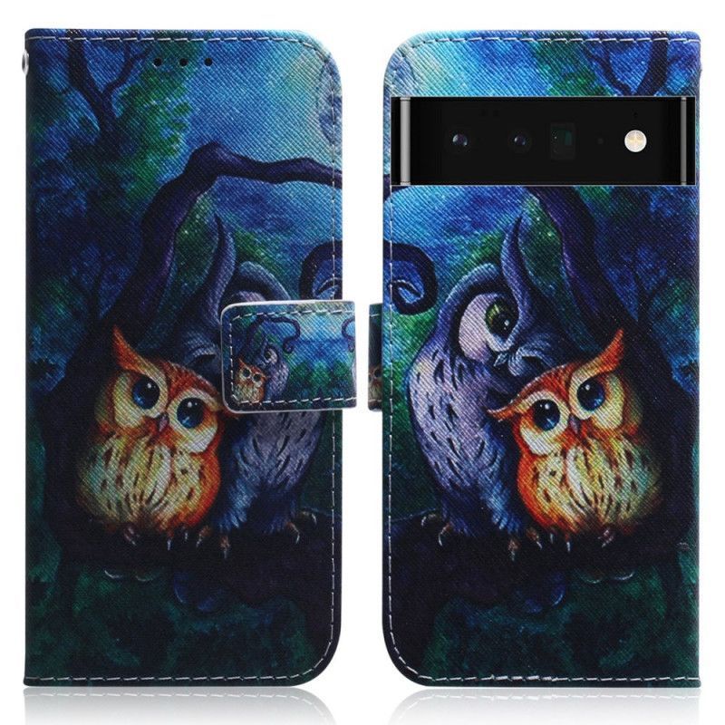 Flipové Pouzdro Google Pixel 6 Pro Malování Sov