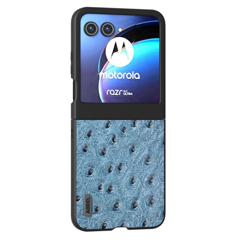 Světle Modrá