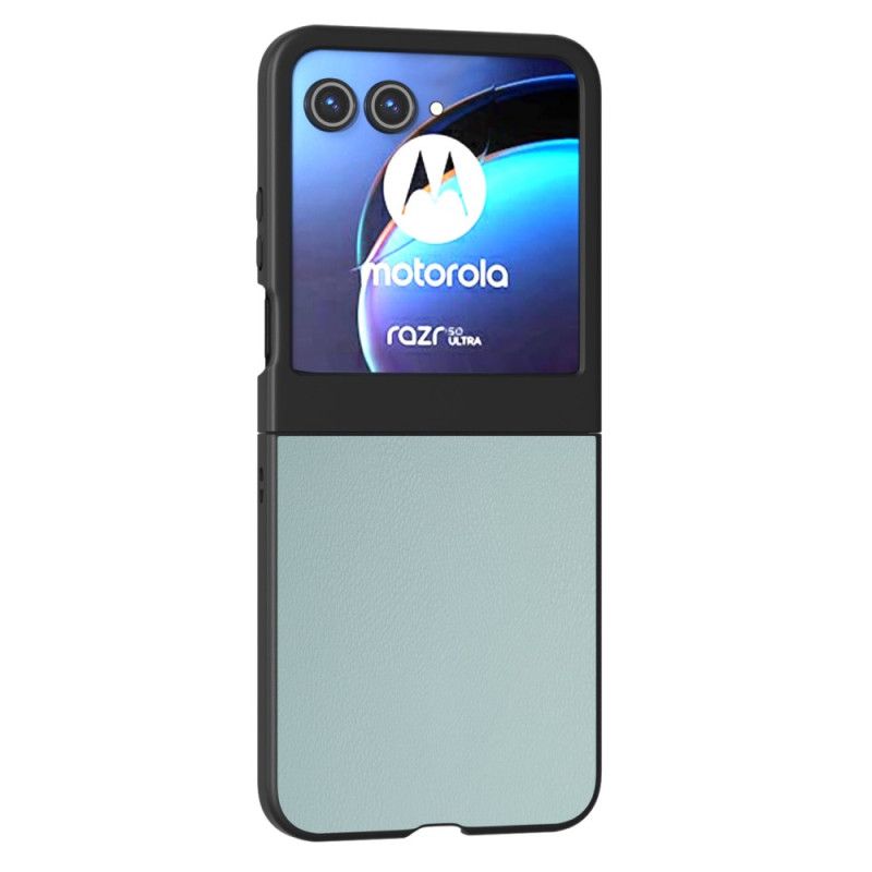 Světle Modrá