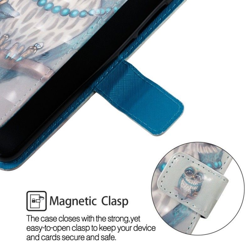 Flipové Pouzdro Samsung Galaxy A6 Plus Chybí Sova 3d
