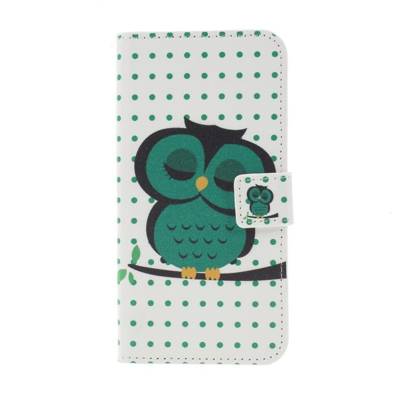 Flipové Pouzdro Samsung Galaxy S10 Plus Spící Sova